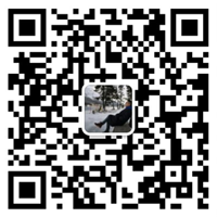 时搏在线登录